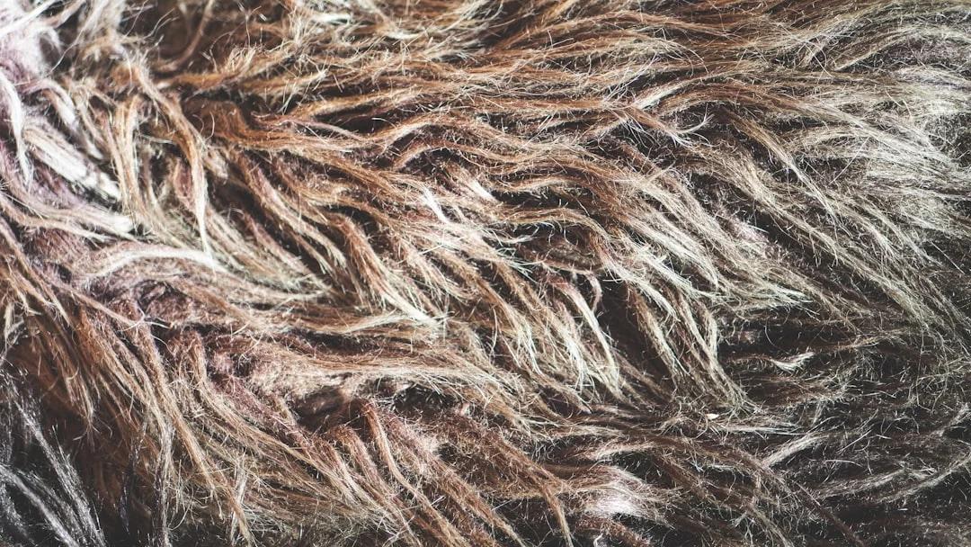 Textured Lob